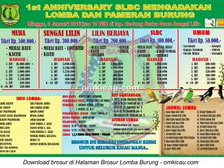 Brosur Lomba Burung Berkicau 1st Anniversary SLBC, Sungai Lilin, 3 Januari 2016