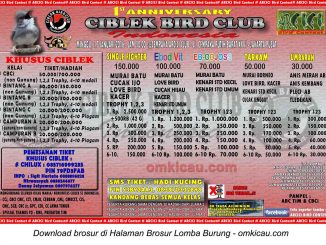 Brosur Lomba Burung Berkicau 1st Ciblek Bird Club, Jakarta Pusat, 17 Januari 2016