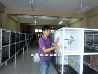 NSM Bird Shop Bogor