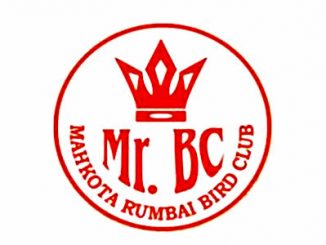 Mahkota Rumbai Bird Club