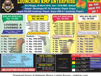 Brosur Lomba Burung Berkicau Launching KMP Enterprise, Sragen, 20 Maret 2016