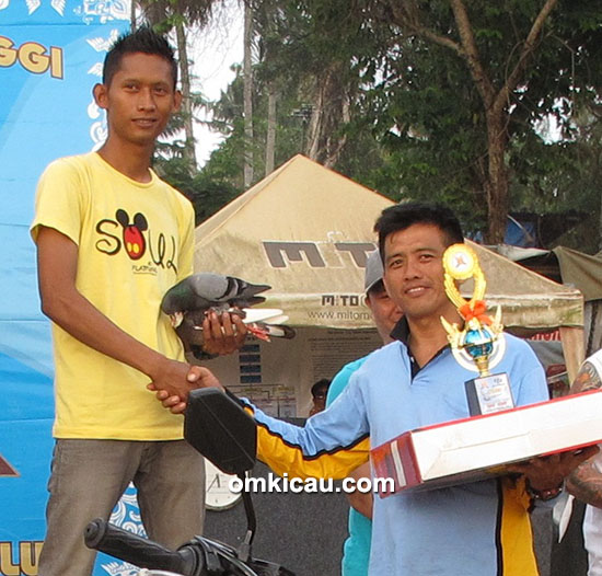 lomba merpati tinggian di Handil Nusantara Club Jambi