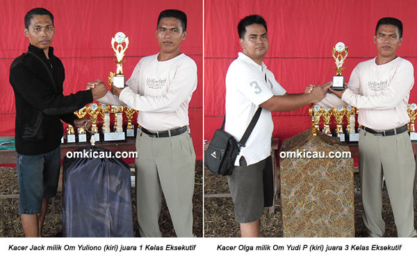 Permata BC Ogan Ilir - juara kacer eksekutif