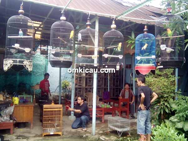 Sangkar Kicau Bird Shop