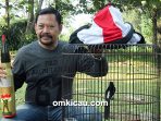 Om Edy PLN