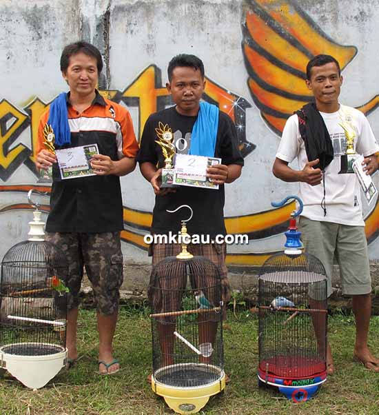 Latber Effentta Jambi - juara lovebird