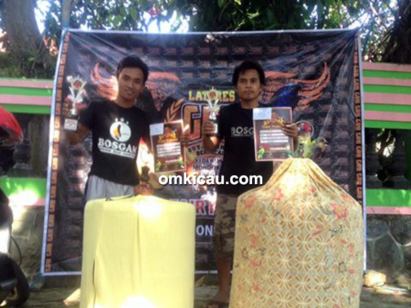 Juara murai borneo