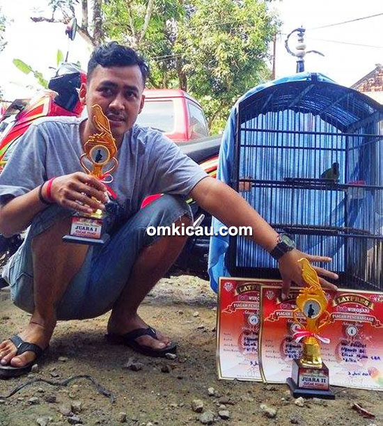 Om Kencizt dan cucak hijau Kilin