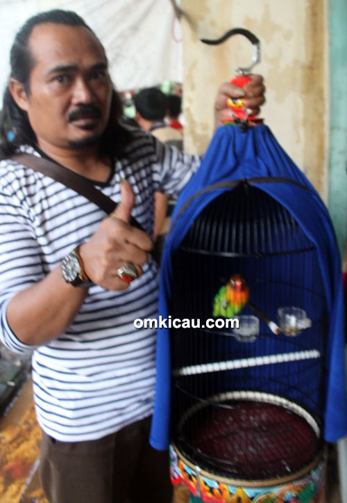 Om Kumis dan lovebird Rahayu