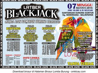 Brosur Latber Burung Berkicau BlackJack, Balikpapan, 7 Agustus 2016