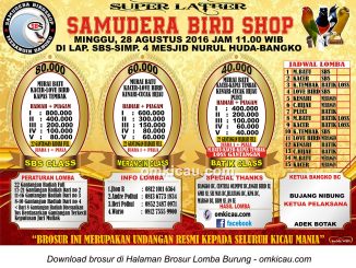 Brosur Super Latber Samudera Bird Shop, Bangko, 28 Agustus 2016