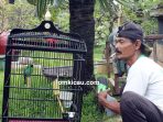 Bang Enim, joki burung andalan