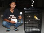 Kenari Mr Voleng