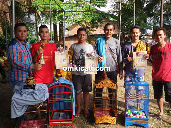 Lomba burung berkicau CD Cup Bangko