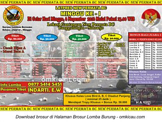 Brosur Latpres Minggu Ke-1 New Permata BC, Sidoarjo, 6 November 2016