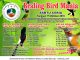 Brosur Latpres Sabtu Ceria Braling Bird Mania, Purbalingga, 15 Oktober 2016