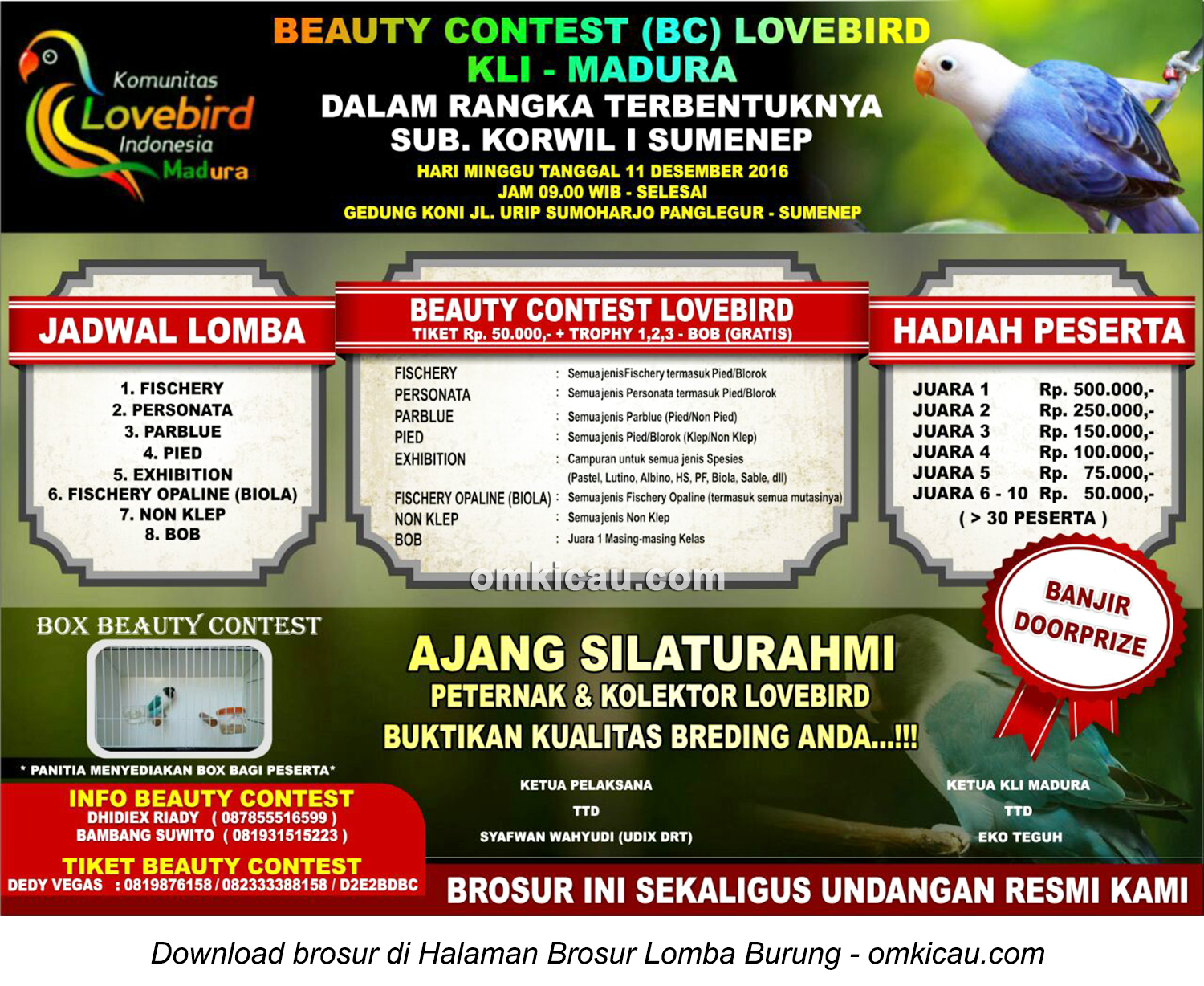 Brosur Lovebird Beauty Contest KLI Madura, Sumenep, 11 Desember 2016