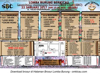 Brosur Lomba Burung Berkicau Launching Gantangan Samurai BC, Kota Probolinggo, 22 Januari 2017