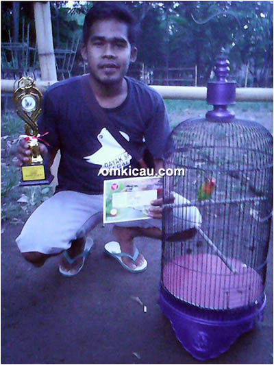 Om Abie DSF dan lovebird Alvarez