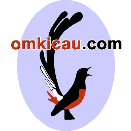 (c) Omkicau.com