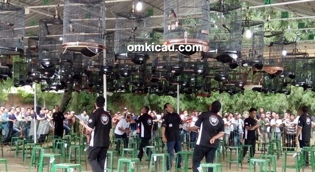 Lomba burung berkicau BSC Cup 1 Cikarang