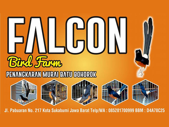 Iklan Falcon BF Sukabumi