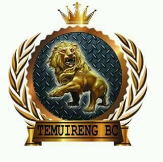 Logo Temuireng BC