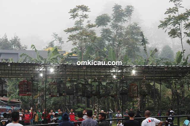 Lomba burung berkicau Pariwisata Cup Tawangmangu