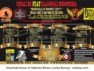 Brosur Lomba Burung Berkicau Launching Cipali BC feat Radjawali Indonesia, Indramayu, 19 Maret 2017