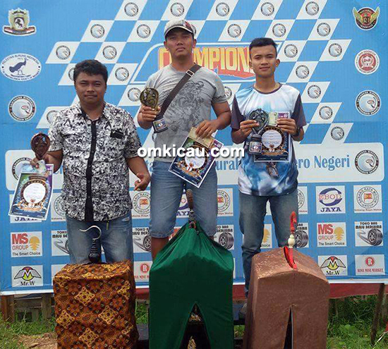 Lomba burung berkicau CD Cup II Bangko