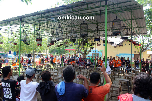 Lomba burung Anniversary GRB Mondokan Sragen