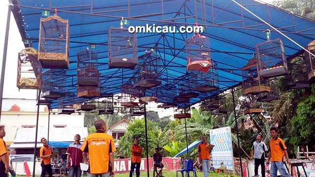 Lomba burung berkicau CD Cup II Bangko