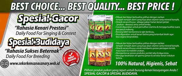 Spesial Gacor - Spesial Budidaya - Pakan kenari SKC JOGJA Product