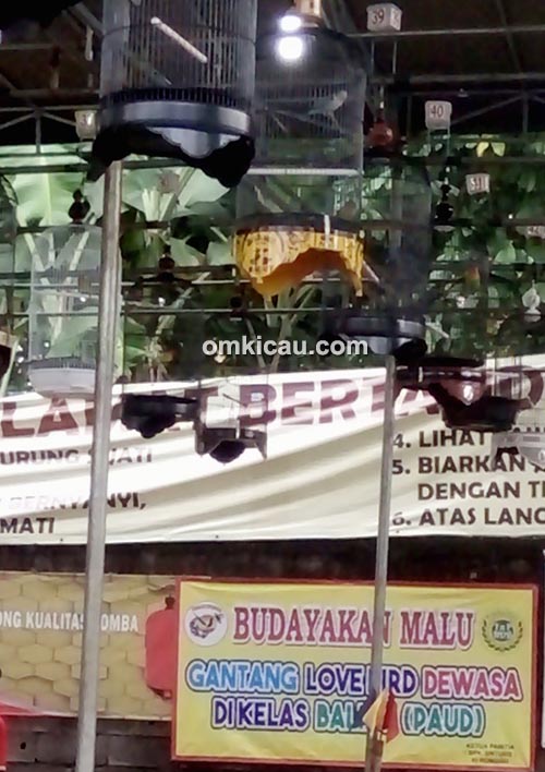 Latpres Ciganjur Enterprise Jakarta