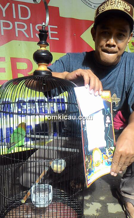 Lovebird Donita milik Om Iskandar