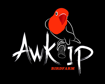 AWK-IP BF Pati