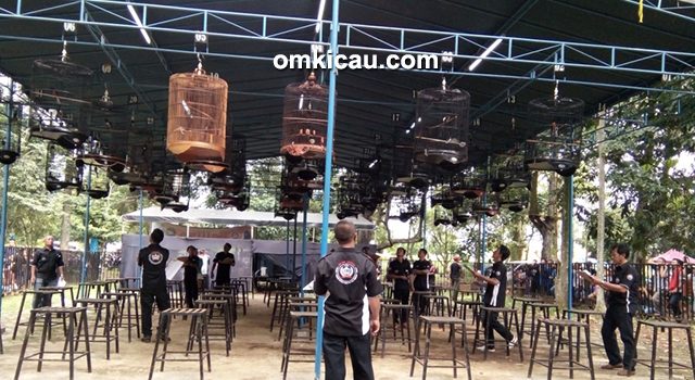 Lomba burung berkicau Balitro Cup I Bogor