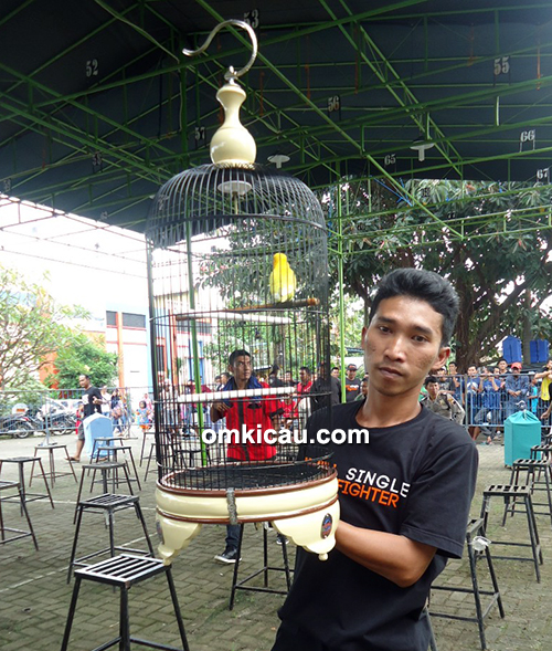 Juara lovebird Kelas Bintang A