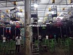Kelas kenari hampir full gantangan.