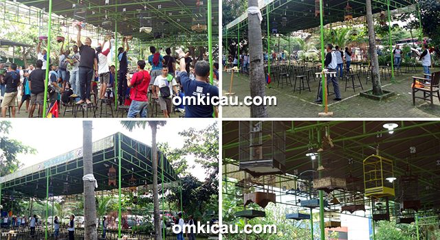 lomba burung berkicau Capung Cup 2 Jepara