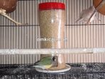 Membuat tempat pakan otoatis dari botol/toples plastik