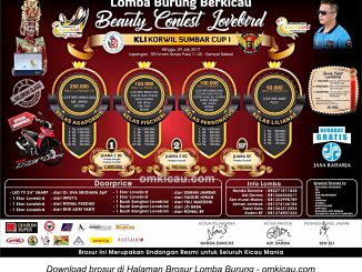 Brosur Beauty Contest Lovebird KLI Korwil Sumbar Cup I, Padang, 9 Juli 2017