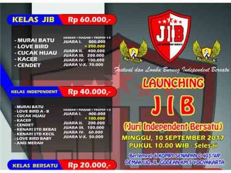Launching JIB