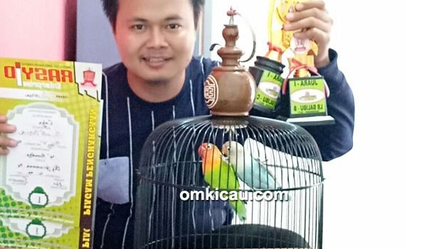 lovebird Coga