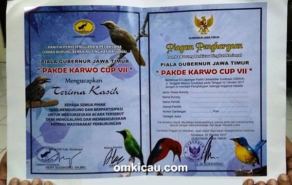 Pakde Karwo Cup VII