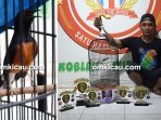 feat Launching Pakan Bonek Power