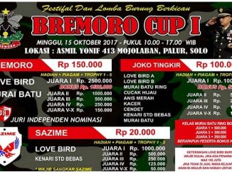 Bremoro Cup I