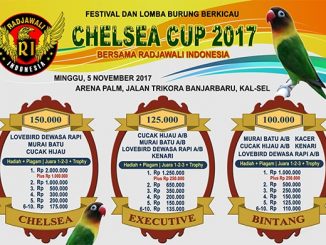 Chelsea Cup 2017