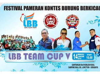 LBB Team Cup V