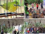 Pleci Mania Jambi Bersatu